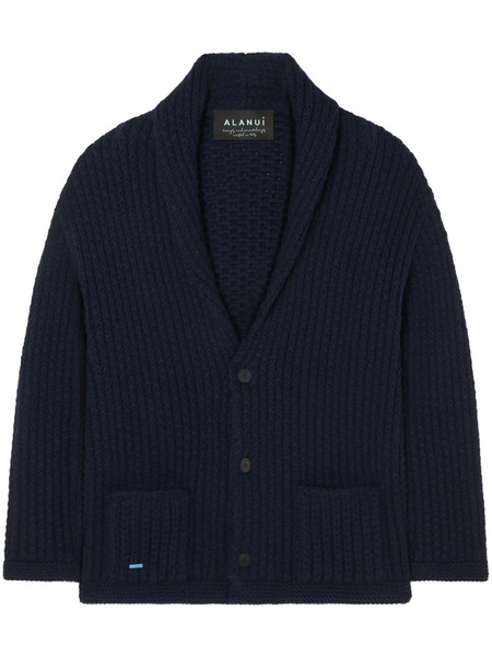  Alanui Finest Cardigan - Blue 