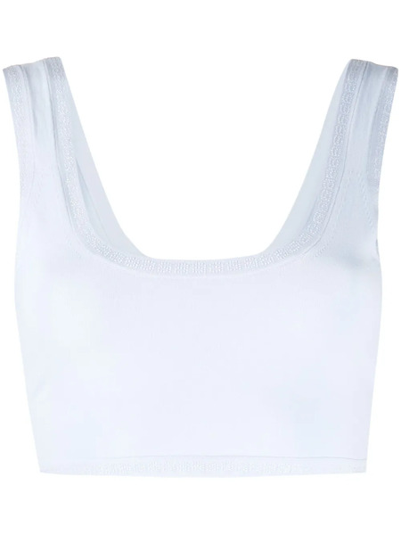  Alexander Wang Rhinestone-trim Cropped Top - Blue 