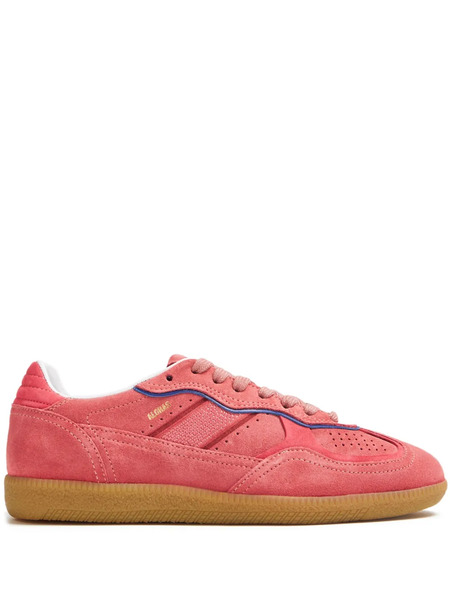  Alohas Tb.490 Low-top Suede Sneakers - Pink 