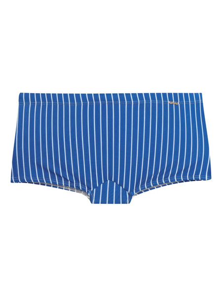 Amir Slama Striped Swim Briefs - Blue 