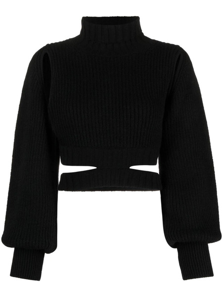  AndreĀdamo Roll-neck Cropped Knit Jumper - Black 