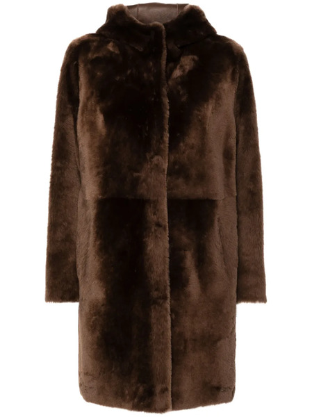  Arma Sama Coat - Brown 