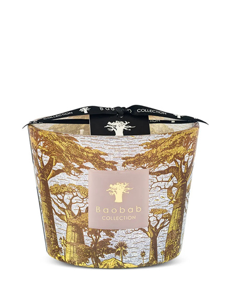  Baobab Collection Bounkani Trees-print Candle - Gold 