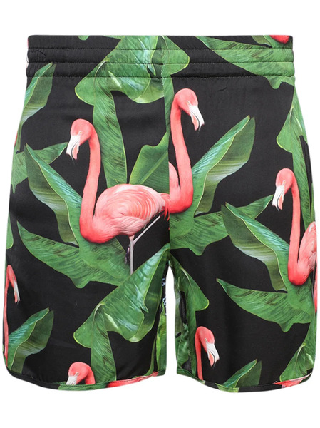  Blue Sky Inn Flamingo Shorts - Green 