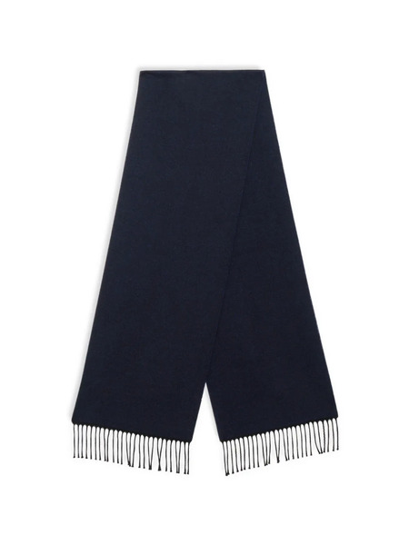  Brooks Brothers Fringed Scarf - Blue 
