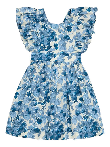  Cara Cara Sage Mini Dress - Blue 