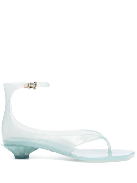  Chloé Jelly Heeled Pumps - Blue 