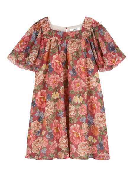  Chloé Kids Floral-print Flutter-sleeve Dress - Pink 