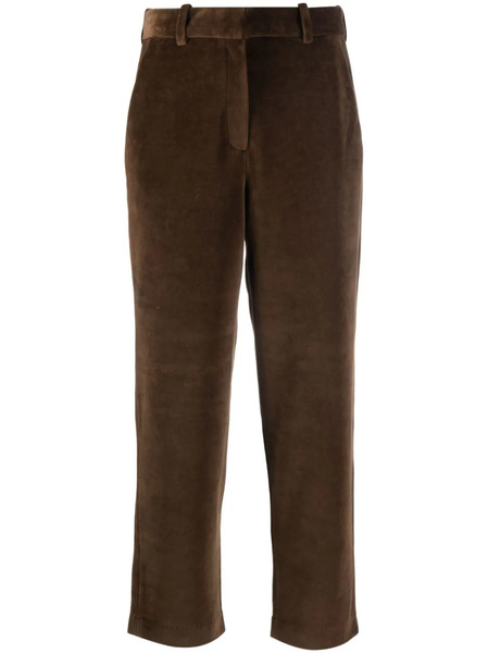  Circolo 1901 Velour Chino Trousers - Brown 