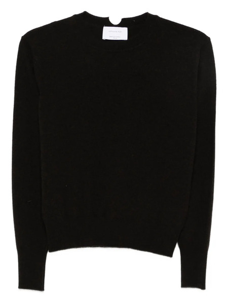  Daniele Fiesoli Round-neck Sweater - Brown 
