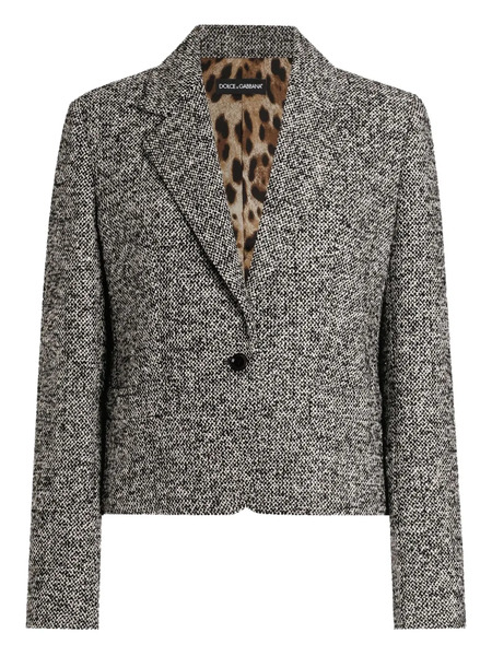 Dolce & Gabbana Button-fastening Jacket - Grey 