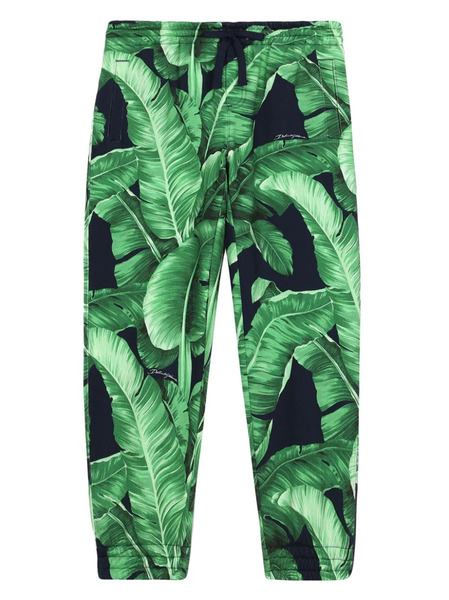  Dolce & Gabbana Kids Banana Leaf-print Cotton Jogging Bottoms - Green 