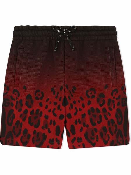  Dolce & Gabbana Kids Gradient Leopard-print Shorts - Black 