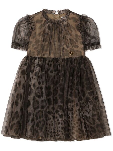  Dolce & Gabbana Kids Leopard-print Tulle Dress - Brown 