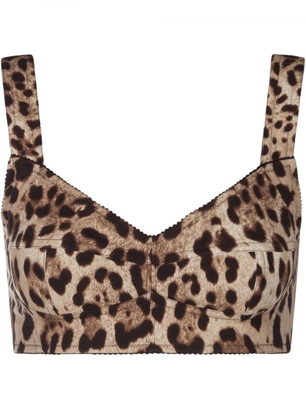  Dolce & Gabbana Leopard-print Bustier Top - Brown 