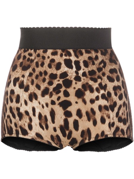  Dolce & Gabbana Leopard-print High-waisted Briefs - Brown 
