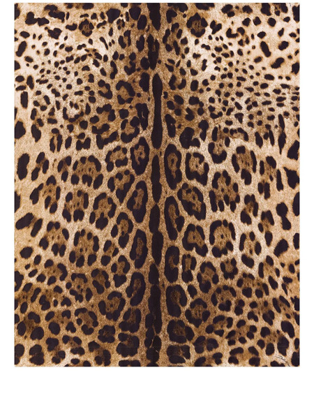  Dolce & Gabbana Leopard-print Wallpaper - Brown 