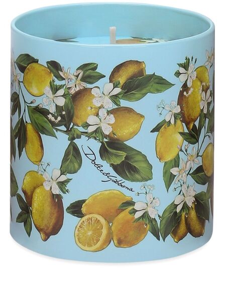  Dolce & Gabbana Scented Candle - Blue 