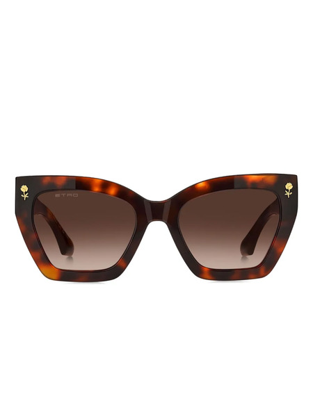  Etro Colour Stripes Sunglasses - Brown 