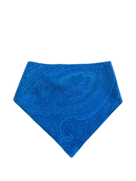  Etro Paisley Button Scarf - Blue 