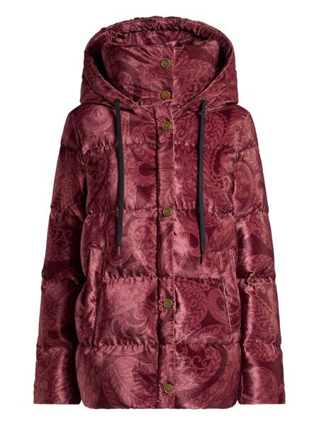 Etro Paisley-print Velvet Down Jacket - Red 