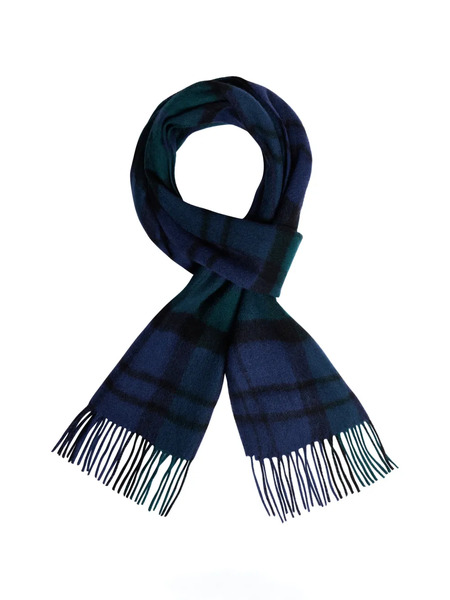  Fursac Plaid Fringed Scarf - Blue 