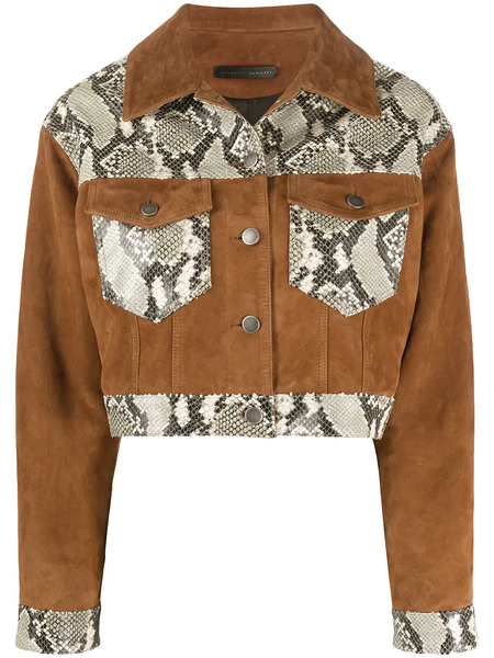  Giuseppe Zanotti Snakes-panelled Jacket - Brown 