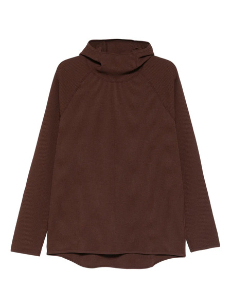  Goldwin Wf Light Long-sleeve Hoodie - Brown 