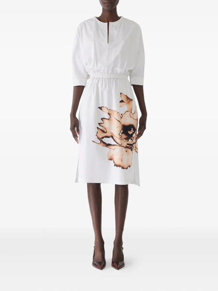  Jason Wu Collection Floral-print Elasticated-waist Midi Dress - White 