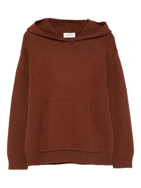  Laneus Hooded Pocket Sweater - Brown 