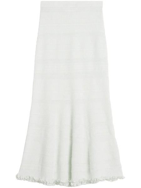  Lanvin Cotton Maxi Skirt - White 
