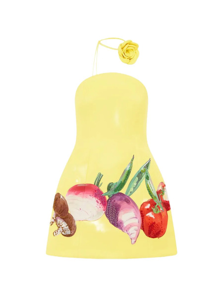  Leo Lin Zaria Floral Appliqué Mini Dress - Yellow 