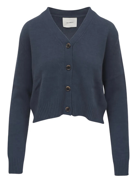  Lisa Yang V-neck Cashmere Cardigan - Blue 
