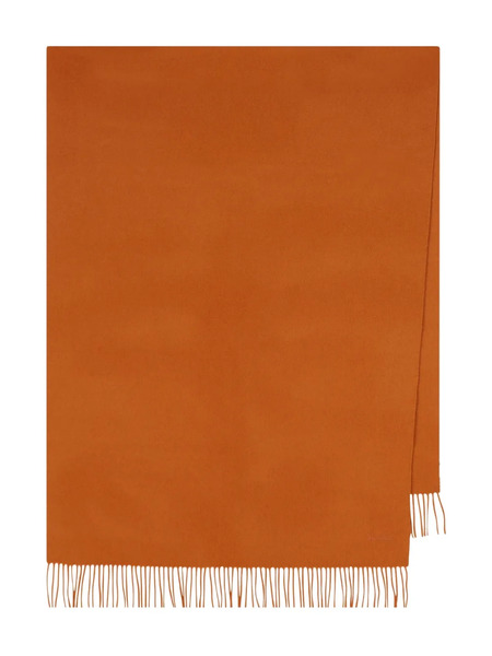  Max Mara Fringed Cashmere Scarf - Orange 