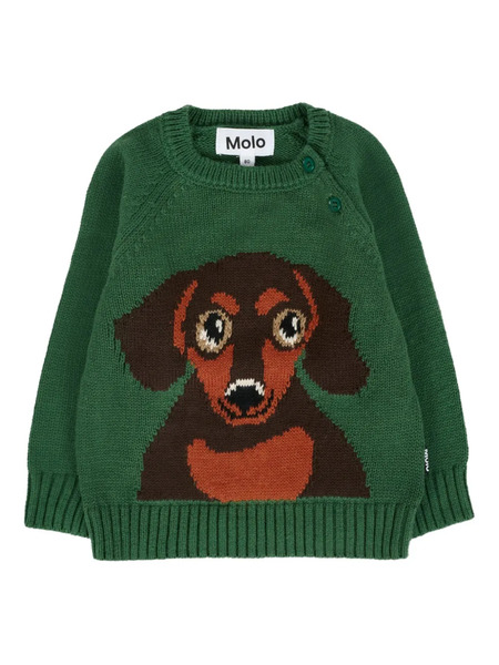  Molo Dachshund-intarsio Sweater - Green 