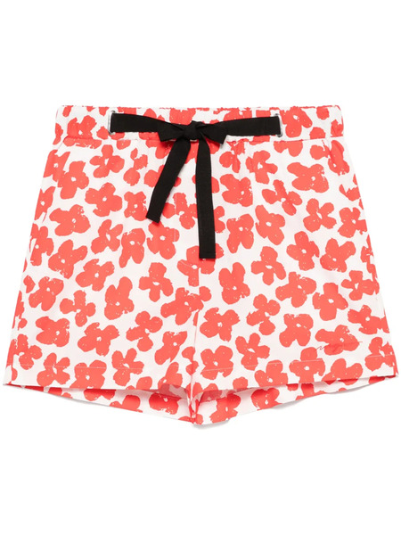  Msgm Floral-print Shorts - Red 