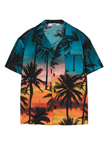  Msgm Kids Palm-tree Print Shirt - Blue 