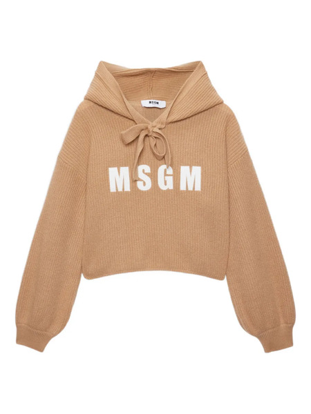  Msgm Msgm Sweaters - Brown 
