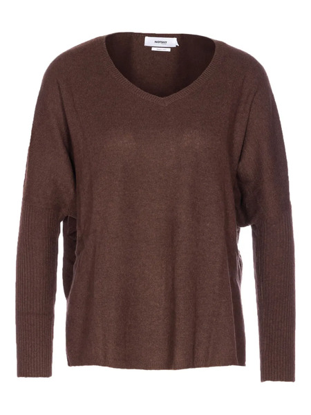 Not Shy V-neck Cashmere Sweater - Brown 