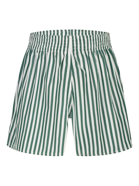  Paramidonna Cora Striped Beach Shorts - Green 