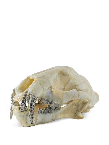  Parts Of Four Leopard Skull Decor - Neutrals 