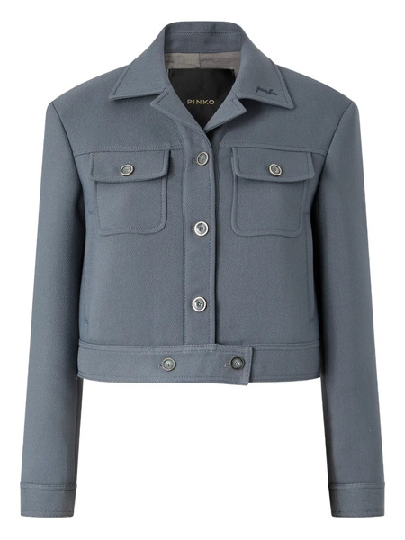  Pinko Buttoned Jacket - Grey 