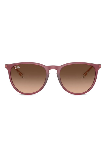 Ray-ban Erika Sunglasses - 6815a5 Polido Violeta Borracha 