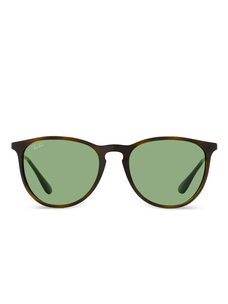  Ray-ban Erika Sunglasses - Brown 