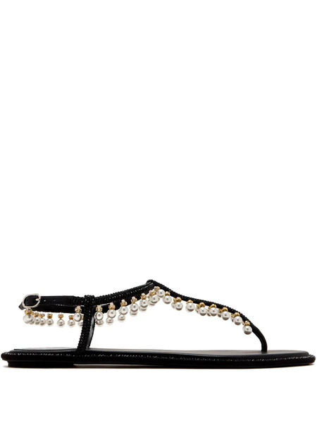  René Caovilla Crystal-embellished Sandals - Black 