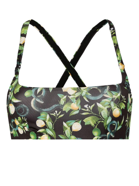  Roberto Cavalli Lemon-print Bikini Top - Black 