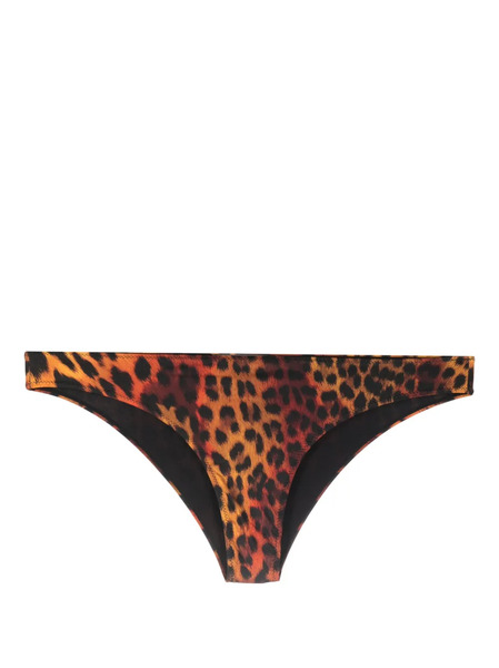  Roberto Cavalli Leopard-print Bikini Bottoms - Black 