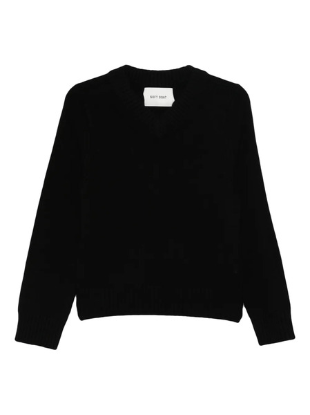  Soft Goat V-neck Sweater - Black 