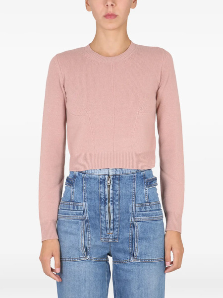  Stella Mccartney Crew-neck Sweater - Pink 