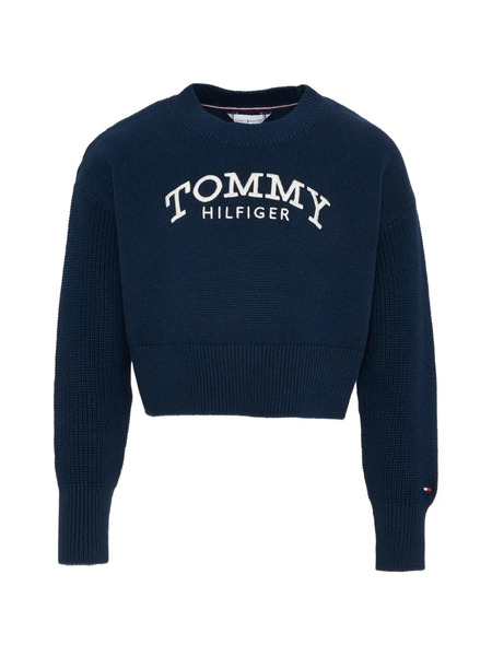  Tommy Hilfiger Junior Logo Crew-neck Sweater - Blue 